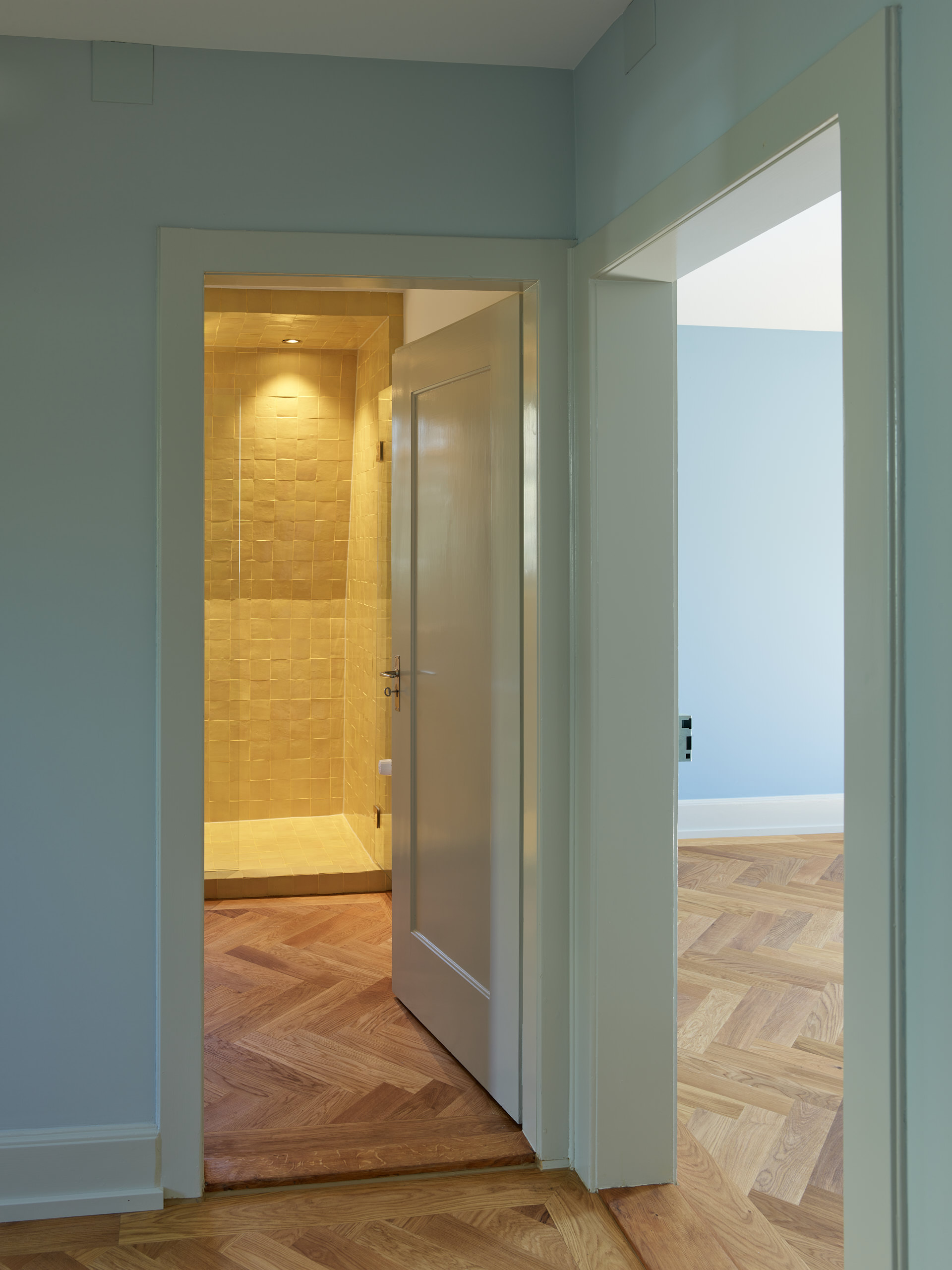 Renovation Signaustrasse, Zürich